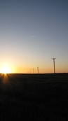 SX21899 Sunrise over electricity poles.jpg